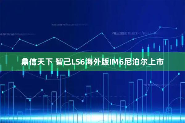 鼎信天下 智己LS6海外版IM6尼泊尔上市